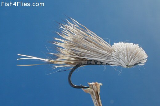 Fish4Flies Gallegos Mouse